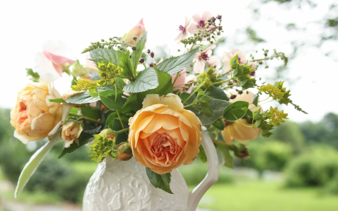 Things Gardening Has Taught Me