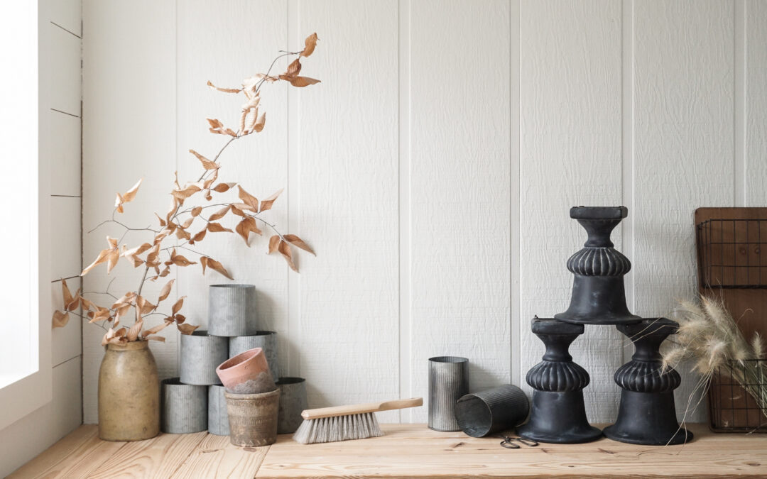 How to Start Flowers Indoors