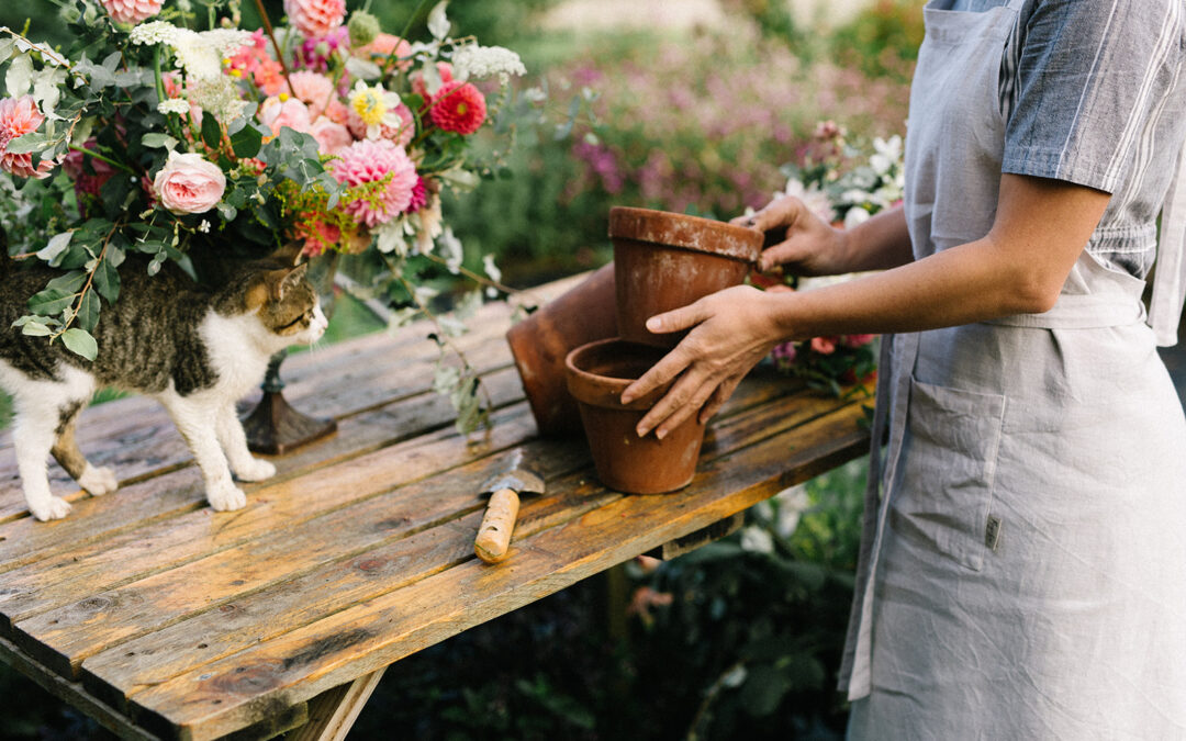 When to Start Seeds Indoors