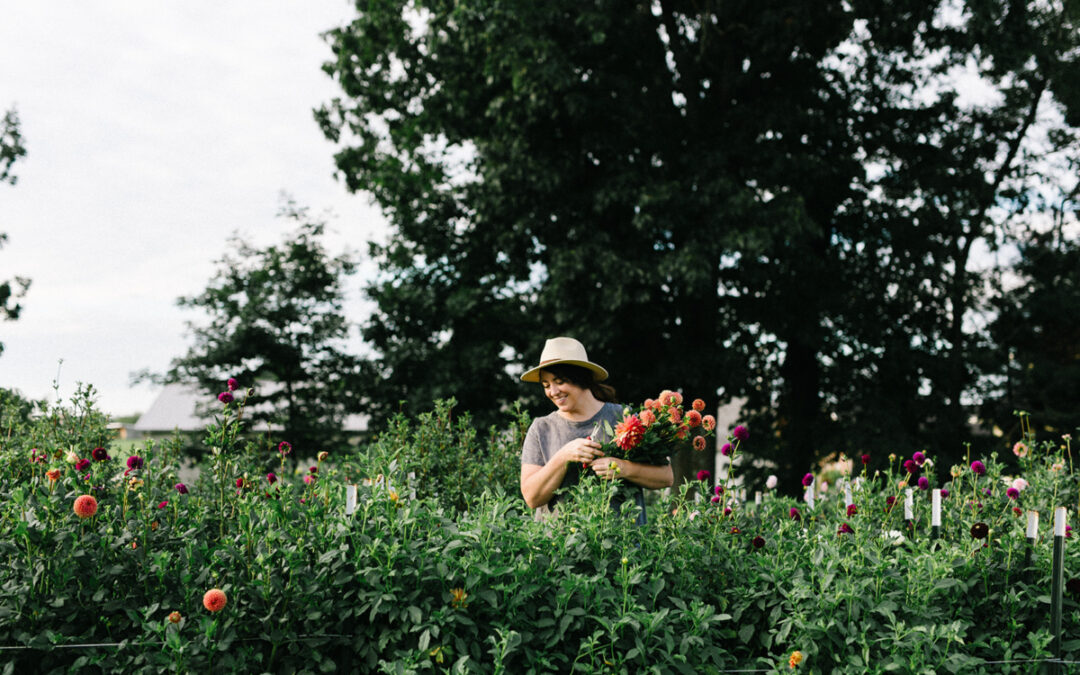 Cut Flower Garden Tips