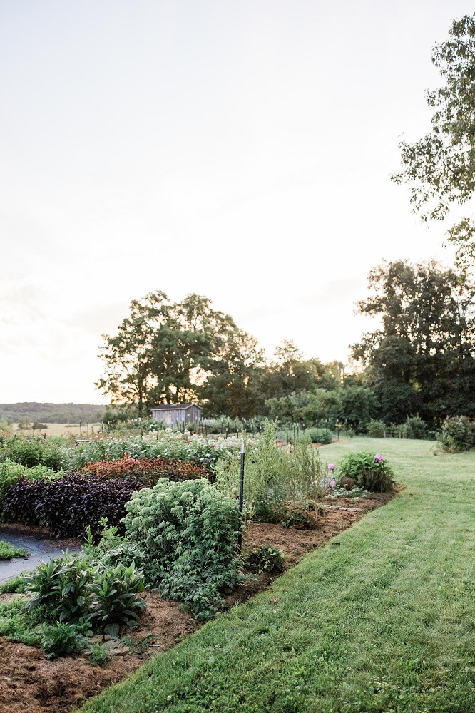 Mennonite-wedding-morgan-rosita-root-design-co