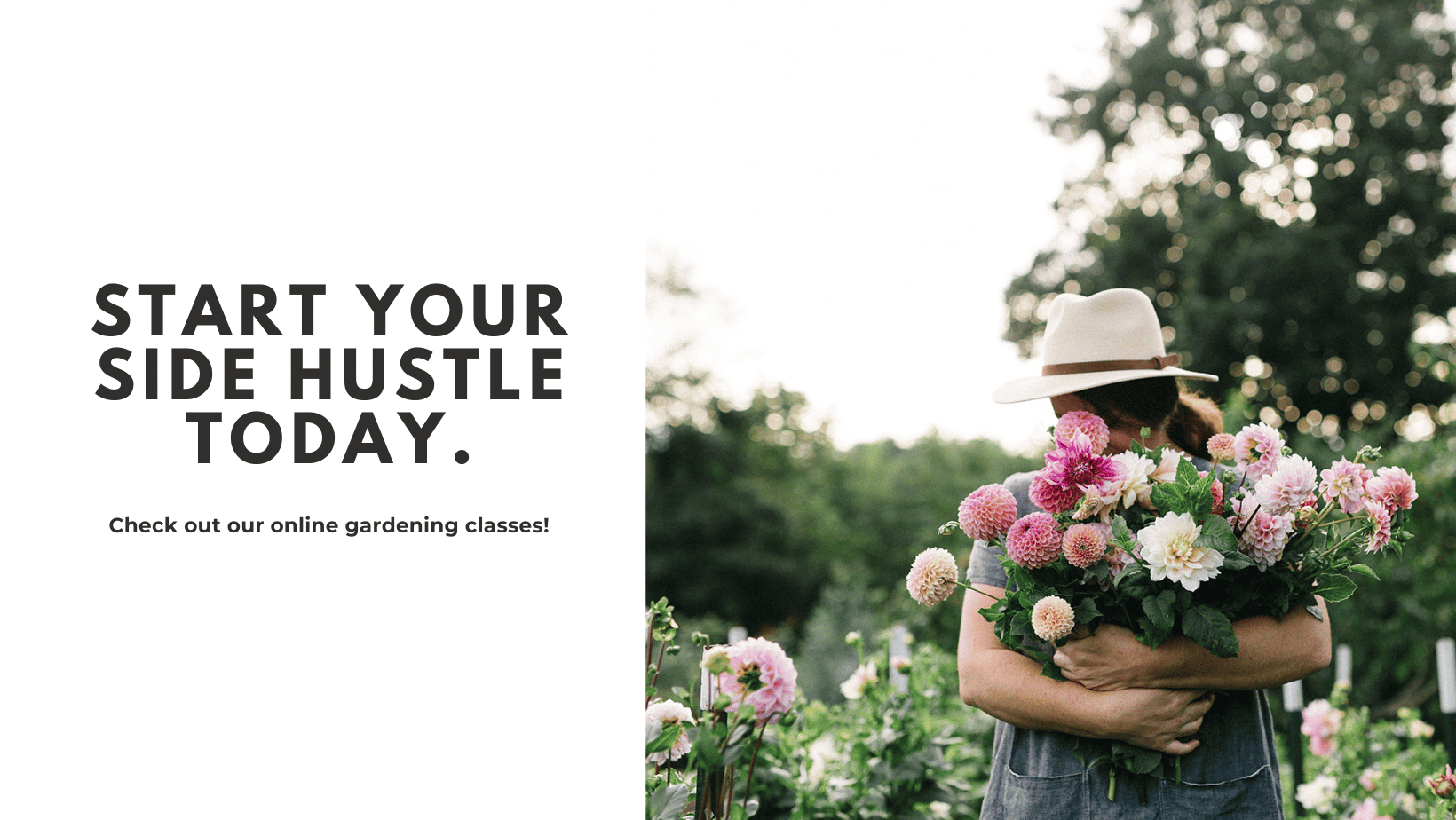 2 Flower farmer with bucket of dahlias