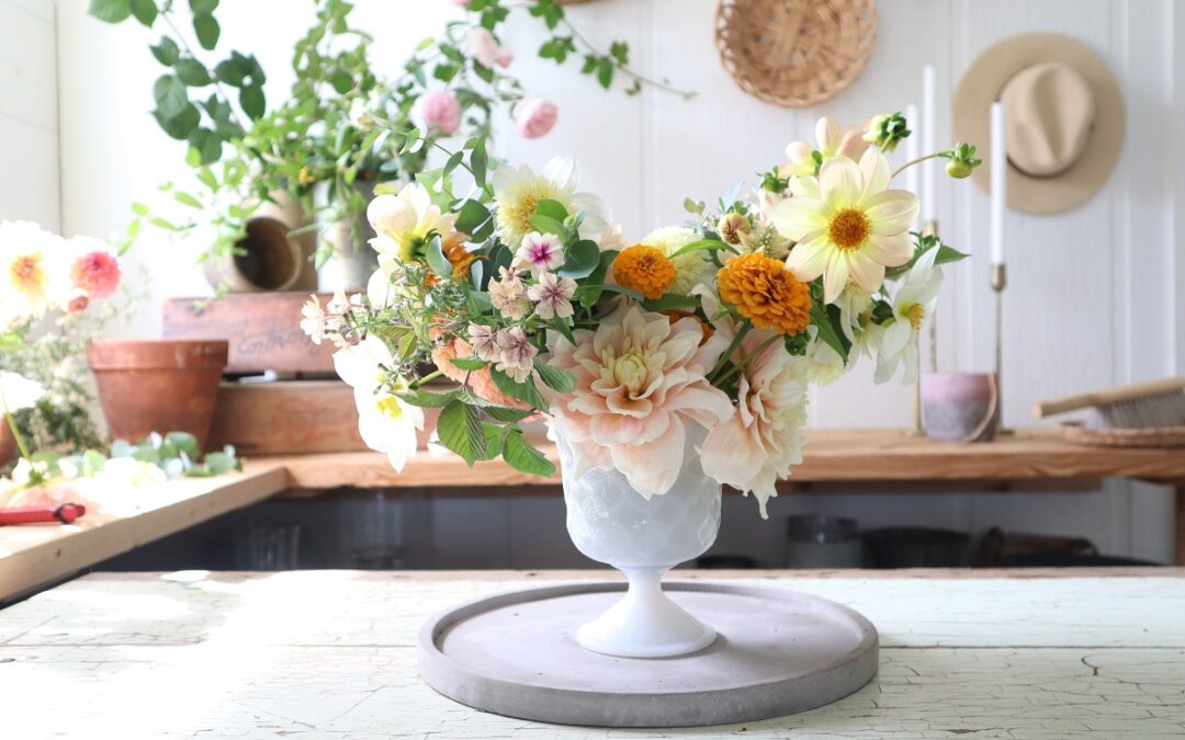 How to Plant Dahlias