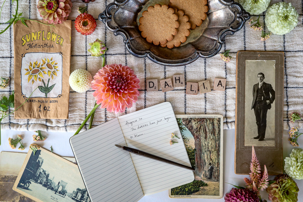 how to grow cut flowers